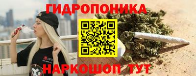 индика Берёзовский