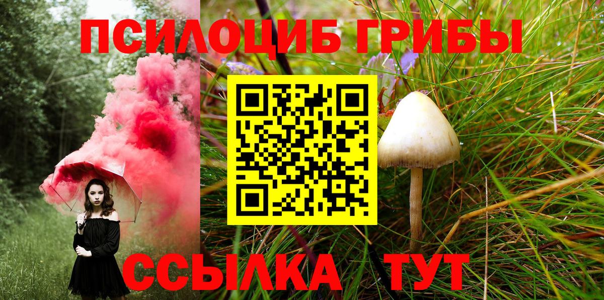 Галлюциногенные грибы Magic Shrooms Дюртюли