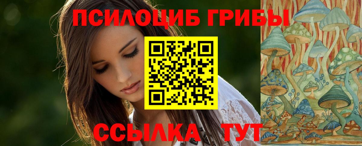 Галлюциногенные грибы Cubensis  Вход с VPN  Дюртюли  Галлюциногенные грибы мицелий 